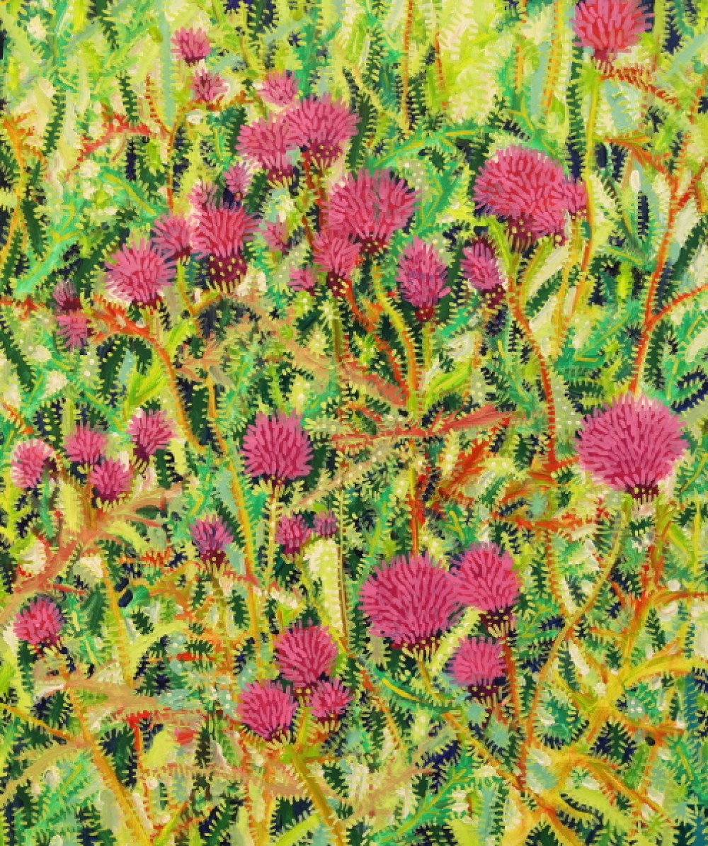 Thistle 1125, oil on canvas, 46x55cm, 2022